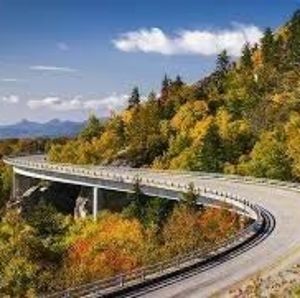 Meet your Posher, Opal